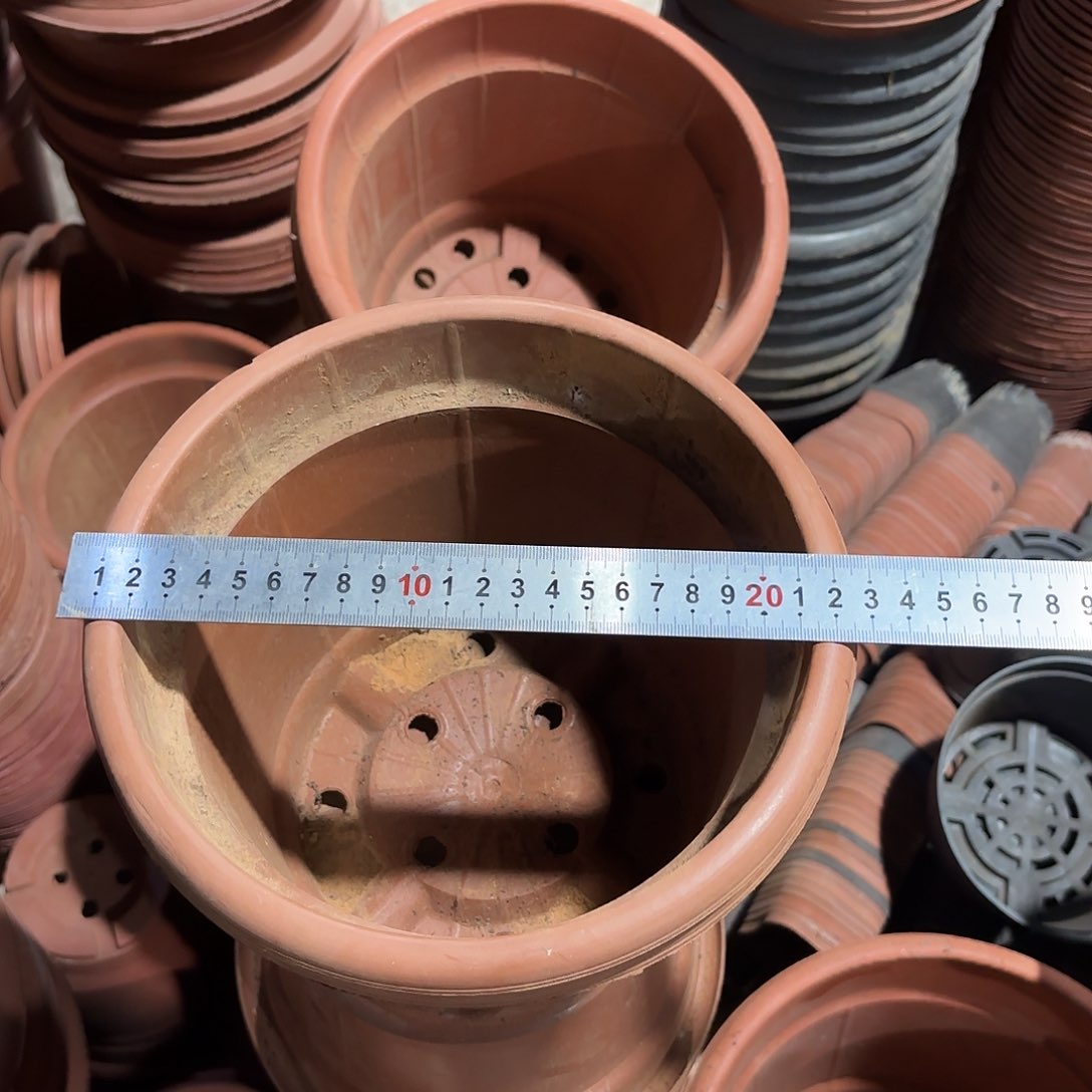 红园盆230口径发15个