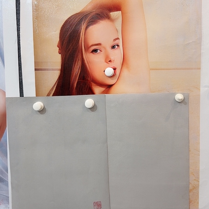 金寨画作欣赏作品