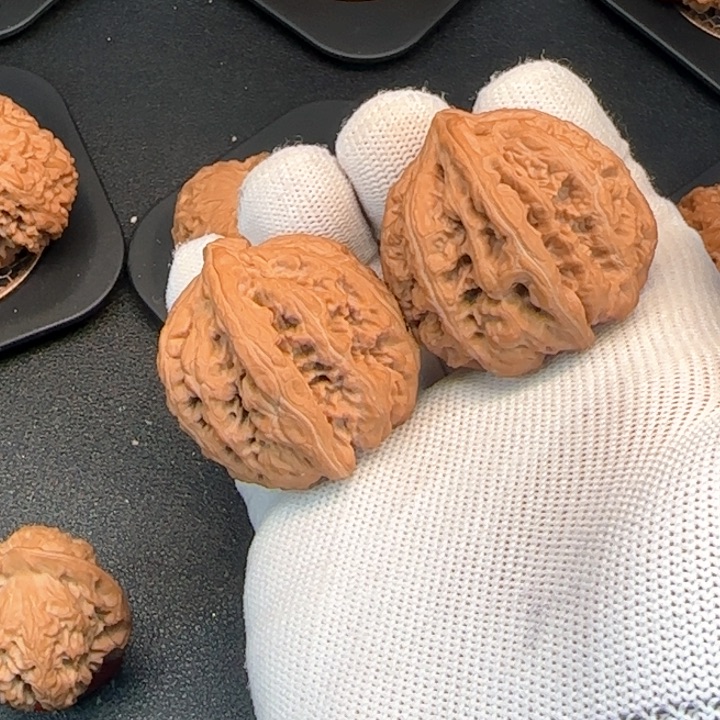 文玩核桃吊坠七***纪大粗筋