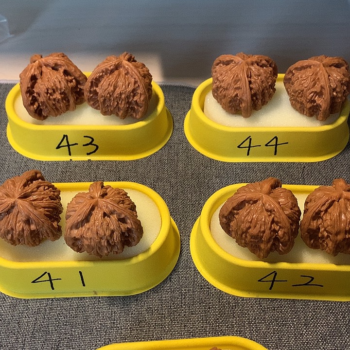 北***y文玩核桃吊坠1111111