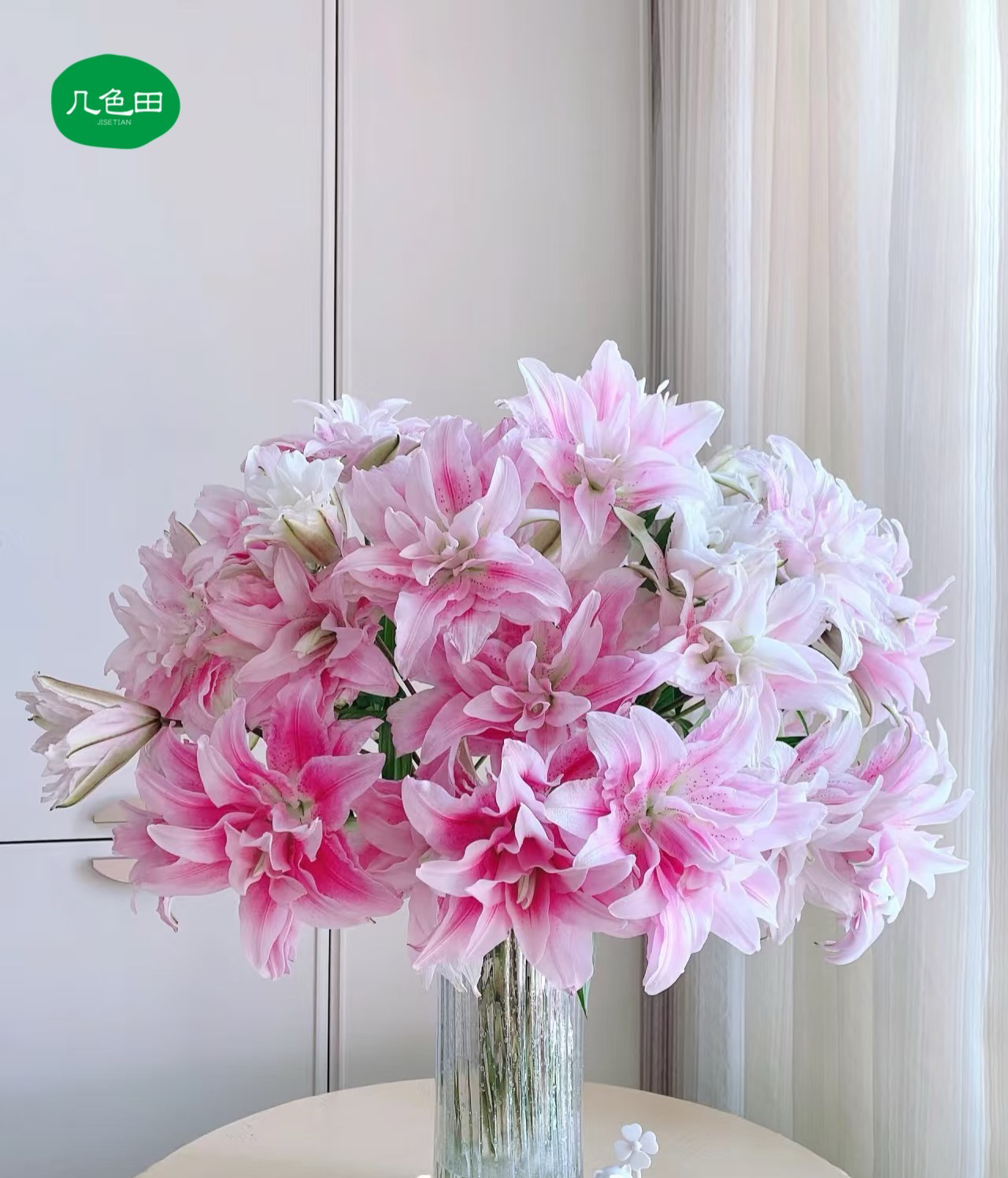 伊莎贝拉----重瓣百合（保底12朵）云南直发鲜花