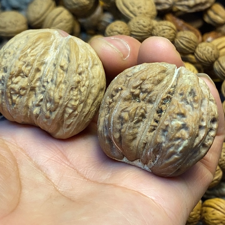 糊****吊坠桃核娜姐真的30