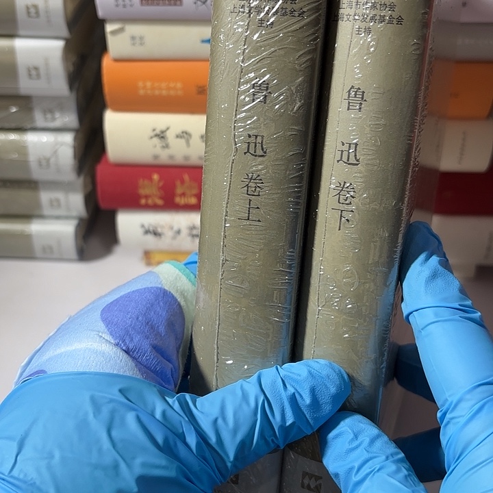 鲁迅卷上下册…………