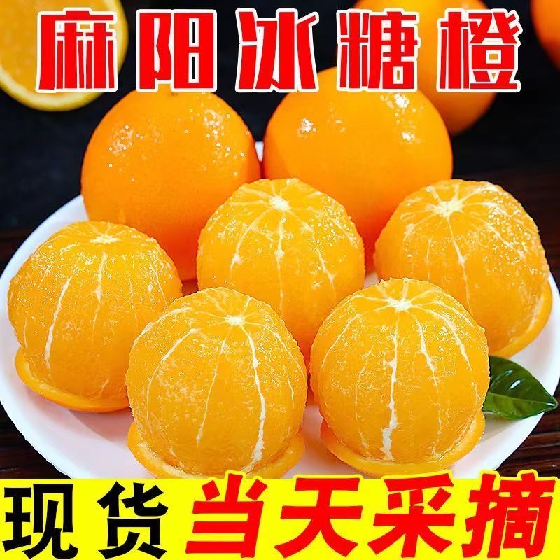 【超甜】麻阳冰糖橙当季新鲜水果皮薄肉细清甜多汁橙子