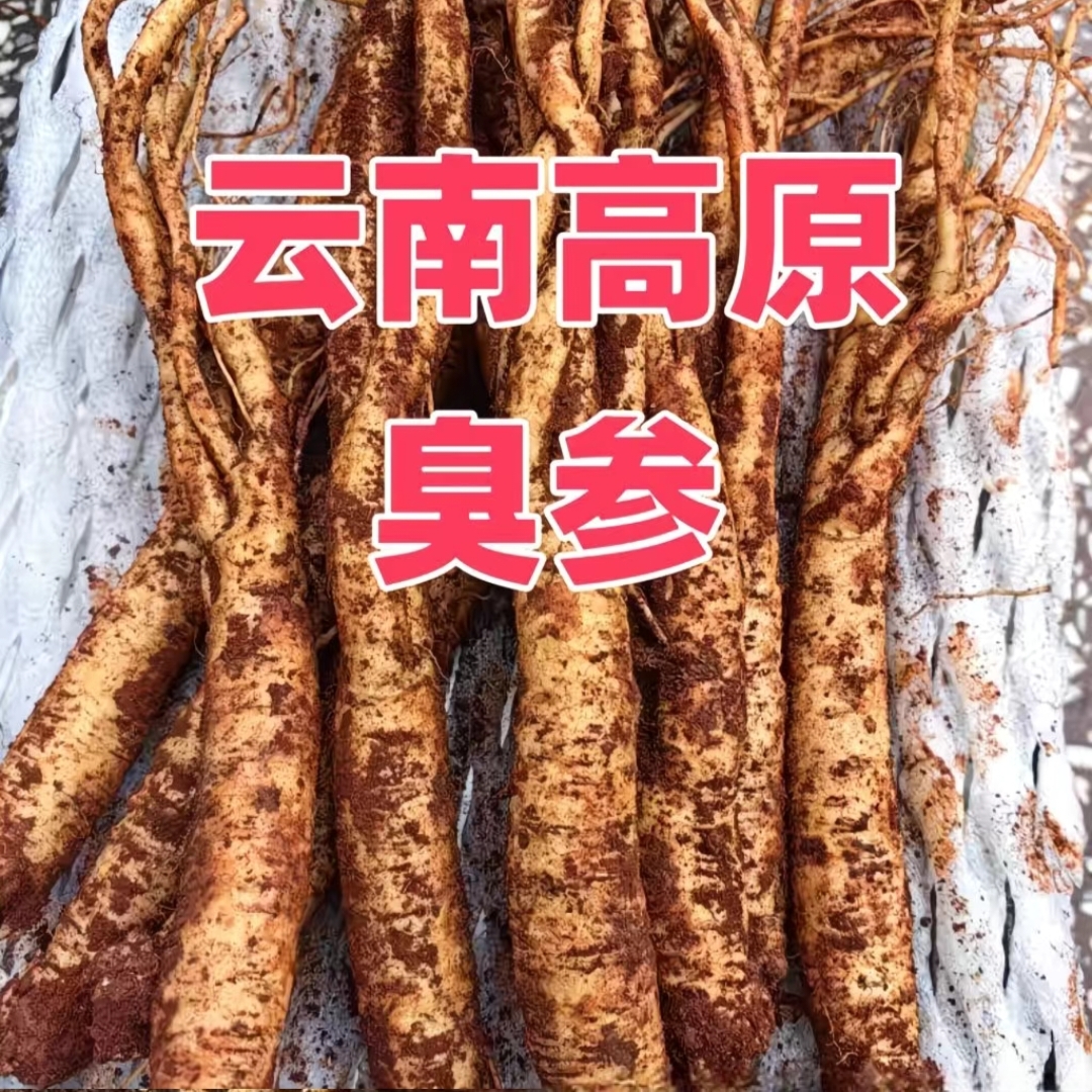 云南高原新鲜臭参(臭药)