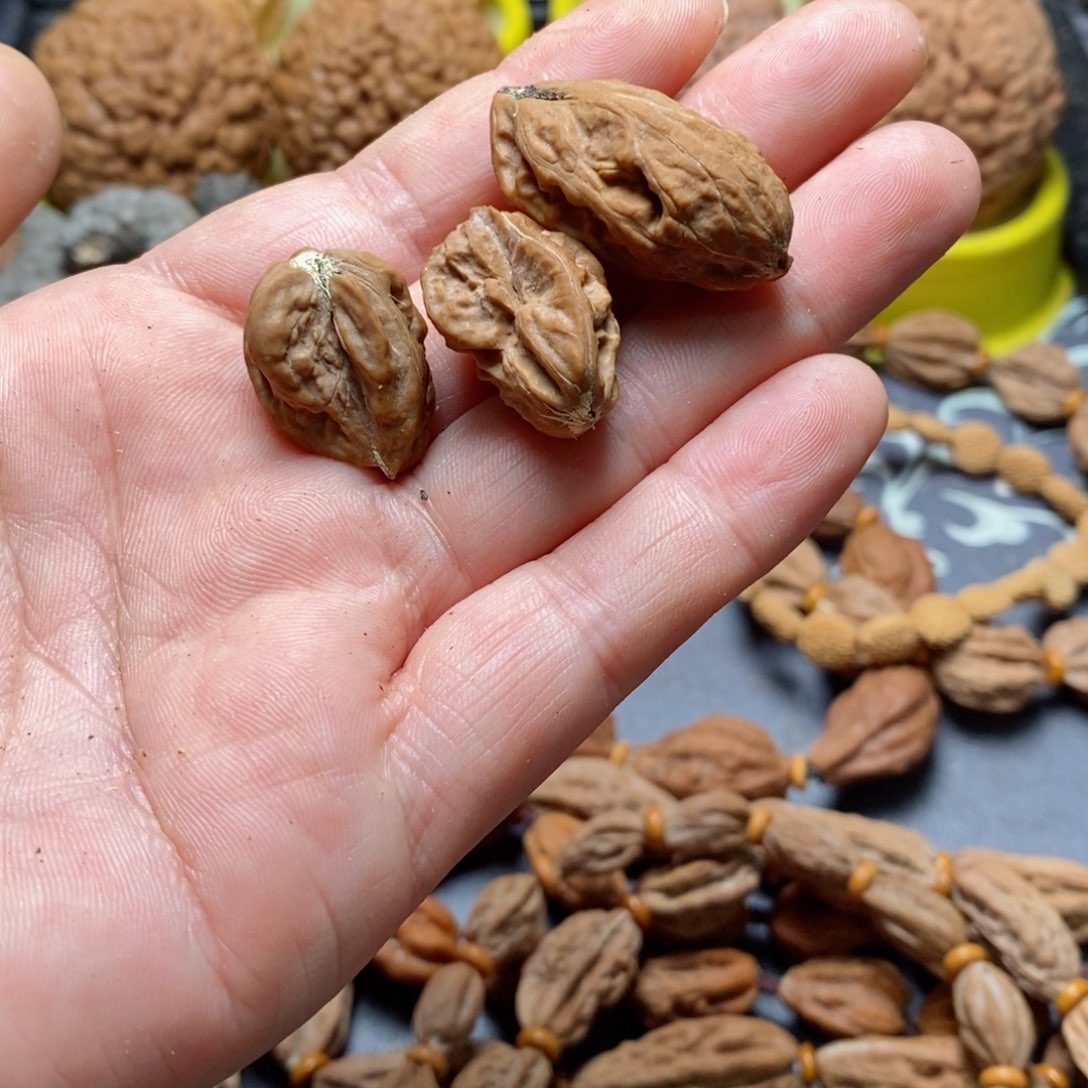 文玩核桃吊坠核桃69