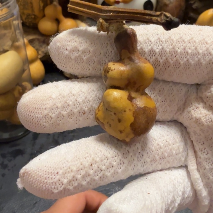 神***86…………………………………………