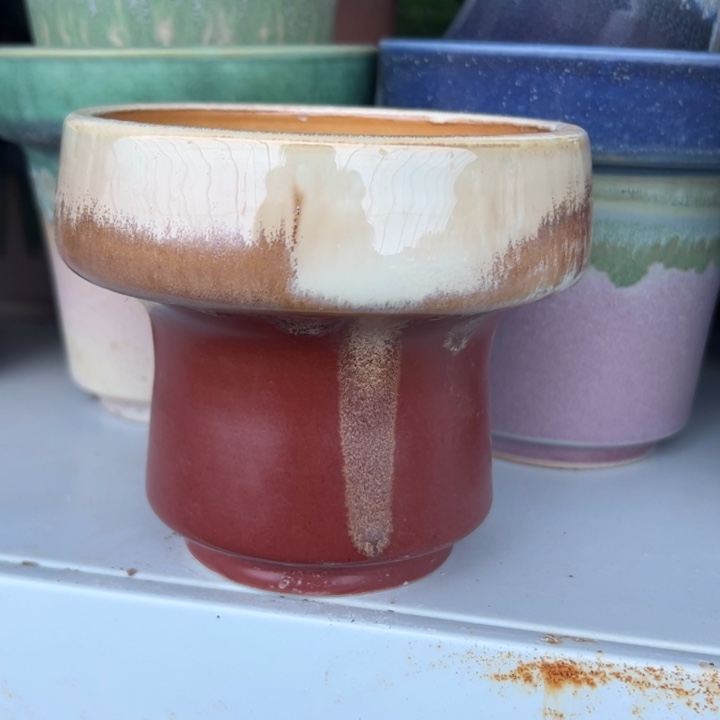 特价花盆 满50发货 内口9.5