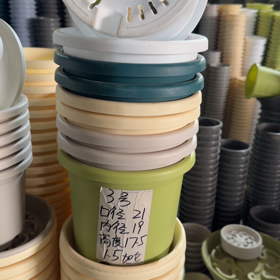 四季3#口径21无拖纯白10个