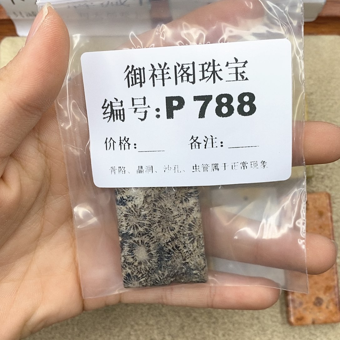 硅化珊瑚（珊瑚玉）P未镶嵌元*