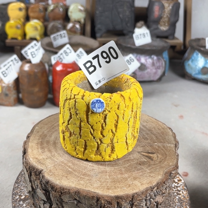 紫砂花盆爆裂mini内口5