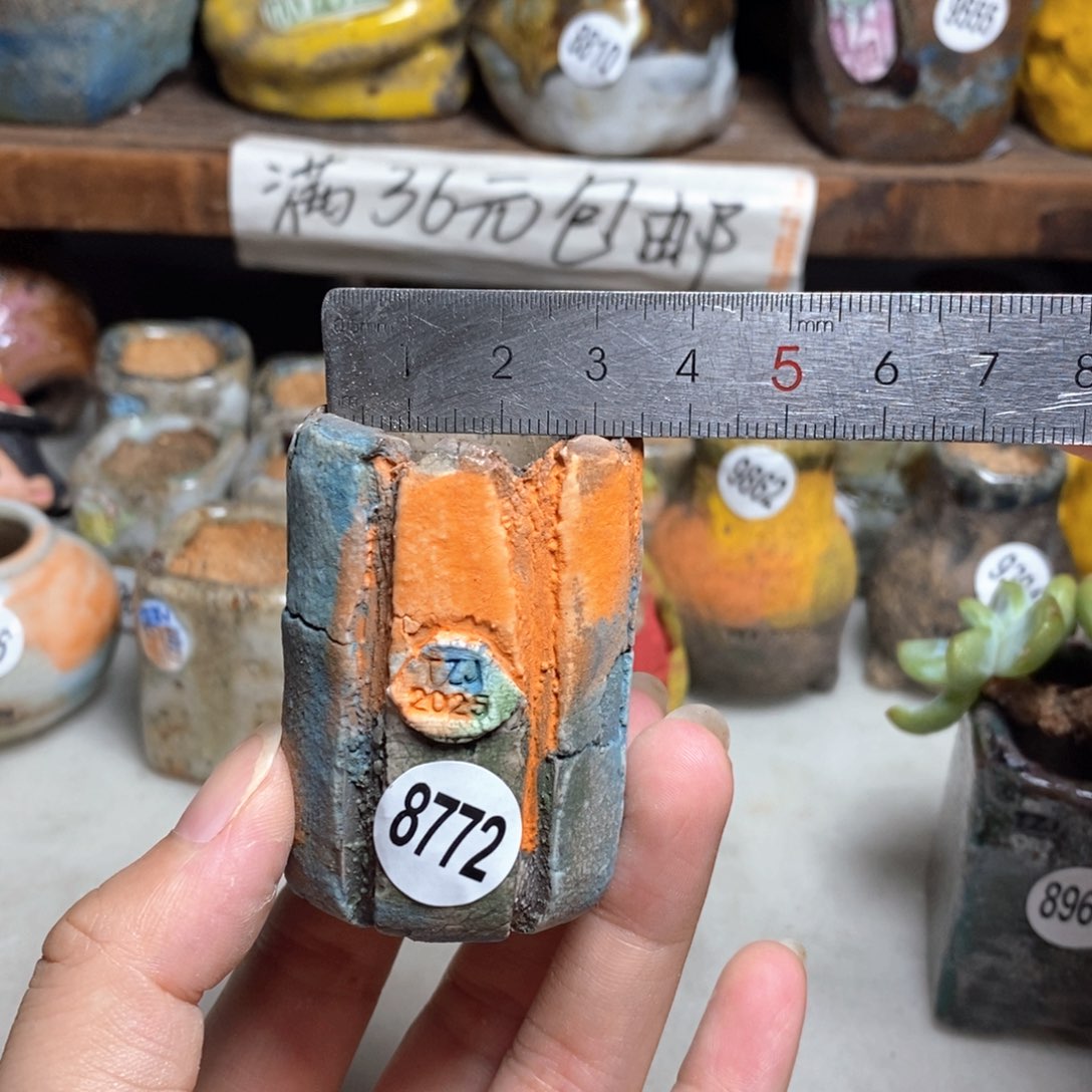 拍3送一个小礼物