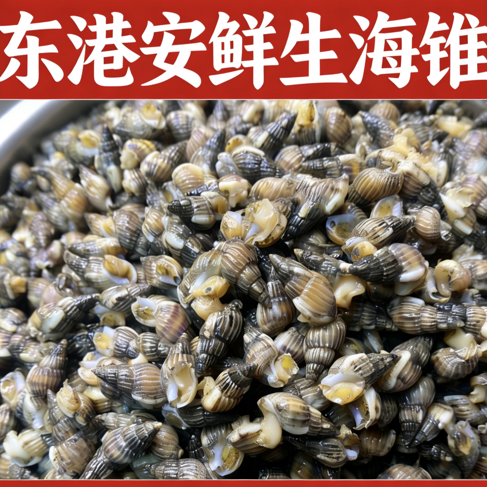 东港海锥420粒中大号好吃不贵