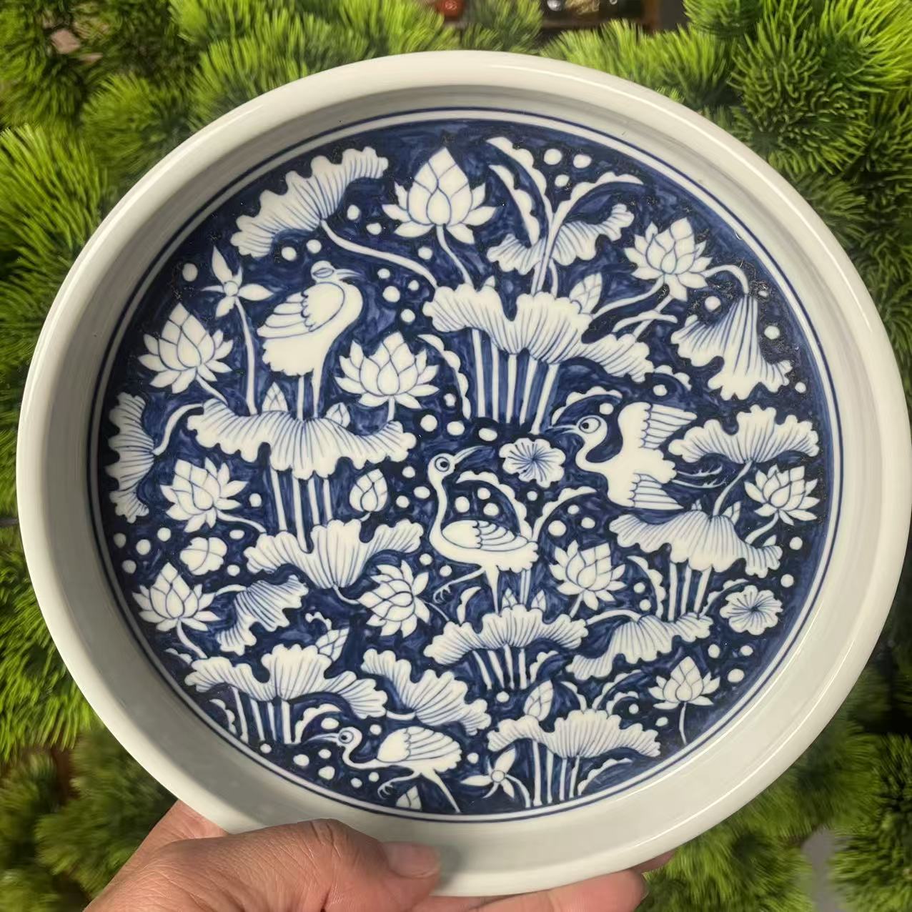 青花一路连科-壶承 18cm-AA1409