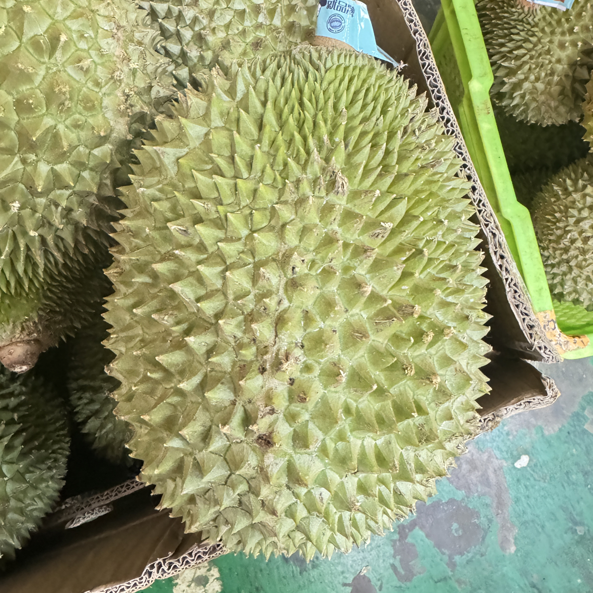 西【顺丰】一物一拍 猫王鲜榴莲 收到判断生熟再吃 路上干耗10%左右