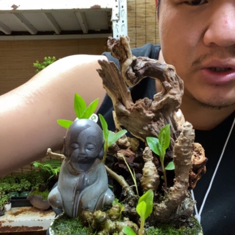 红陶涛**旧一物一拍所见即所得124