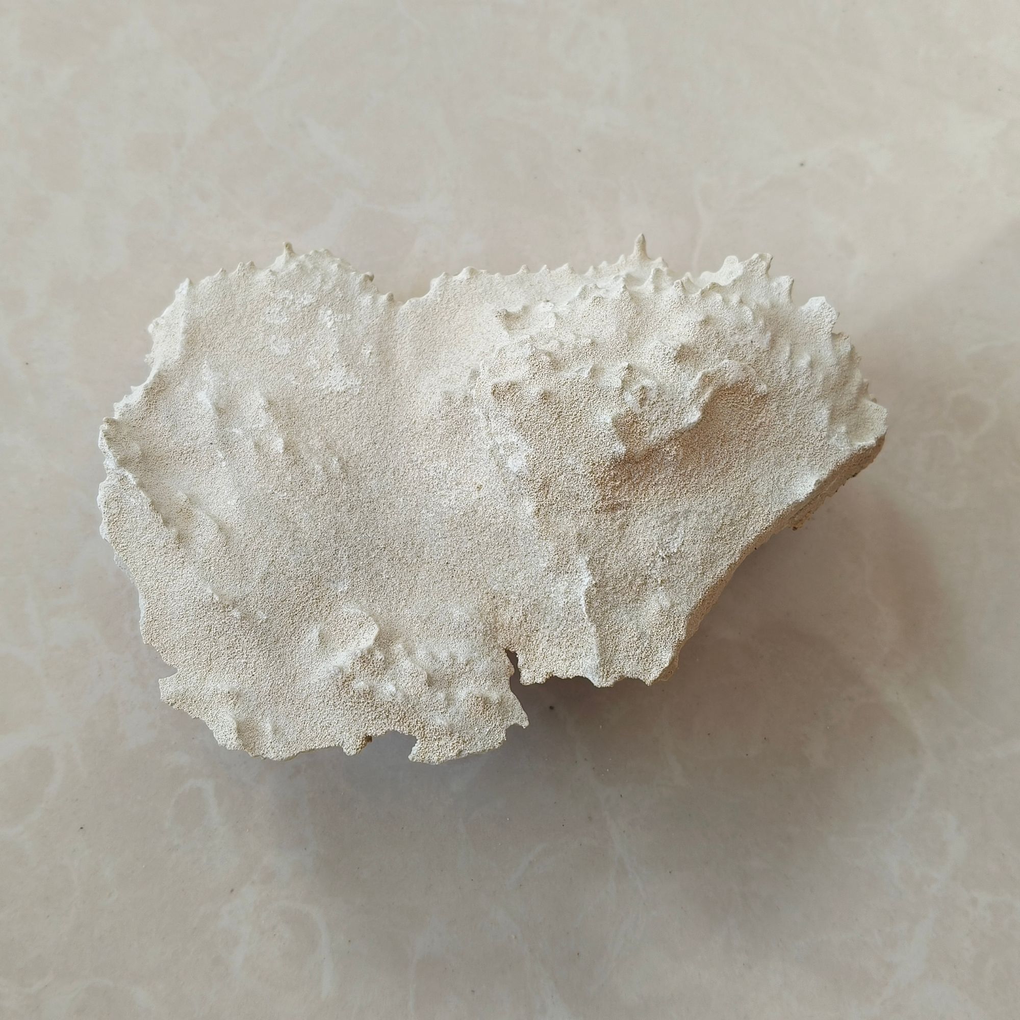 01 塔里木沙漠地貌奇石