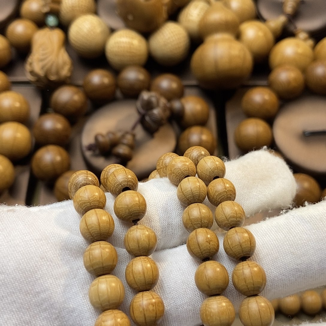 冬***喵六道木山西五台山