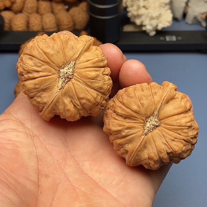 文玩核桃把件南瓜