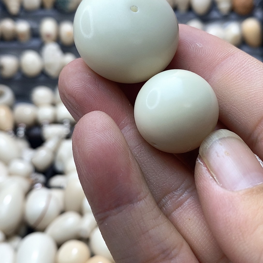 雲***山吊坠菩提根/象牙果