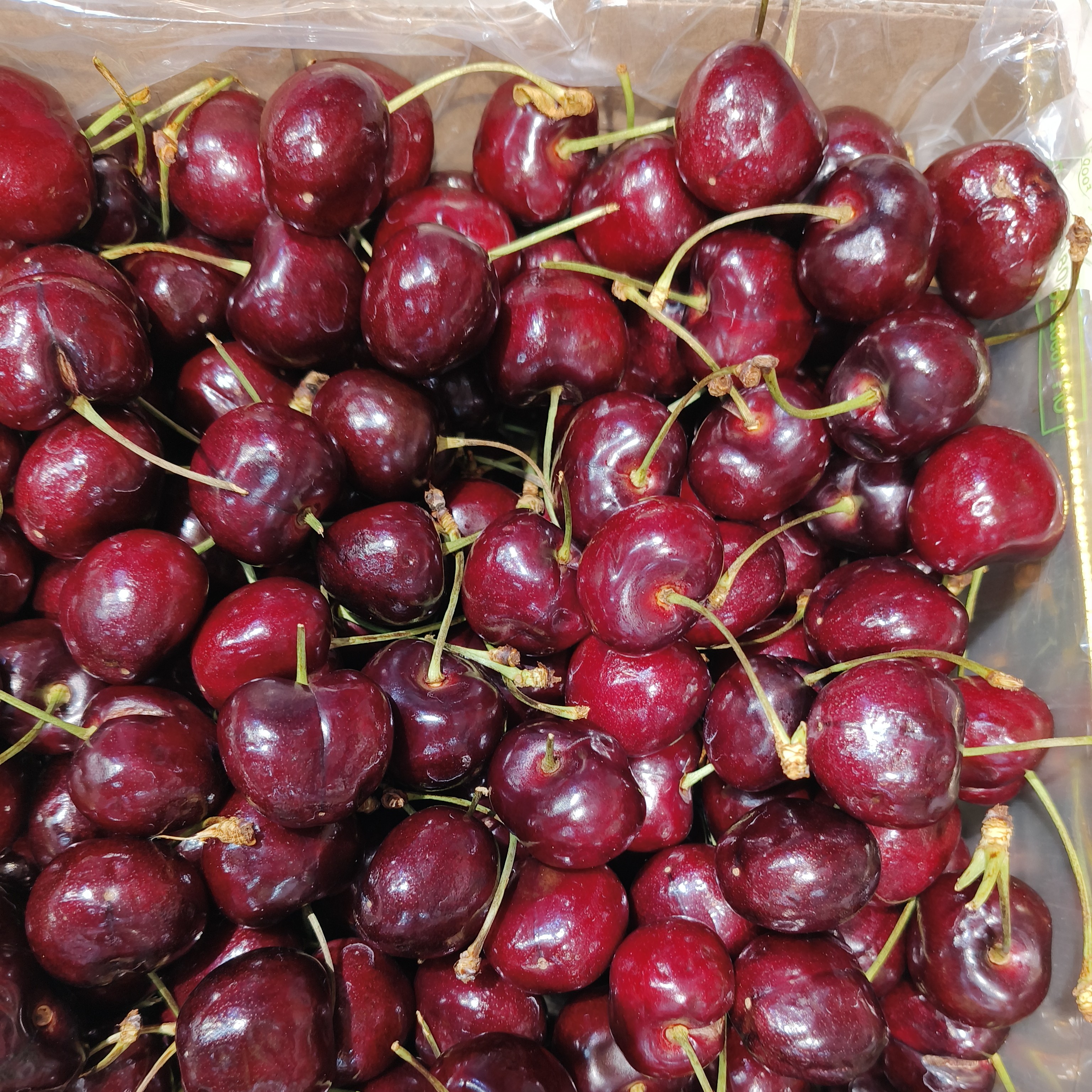 海运桑缇娜车厘子JD 一件5斤桑提娜智利