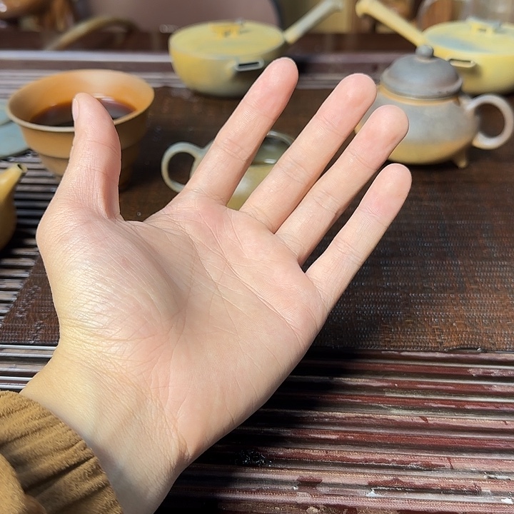 刀***雨茶壶紫砂坭兴陶柴烧