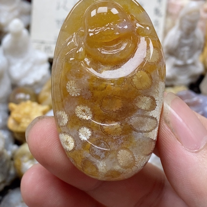 颈饰未镶嵌硅化珊瑚（珊瑚玉）