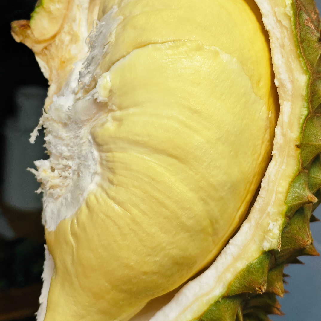 泰国金枕鲜榴莲23.9/斤核小金枕泰国