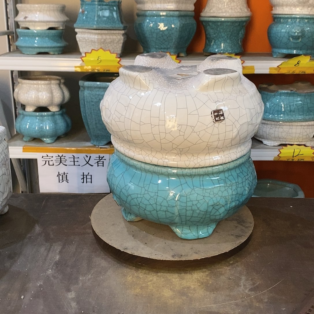 游**水花盆里的小猫咪