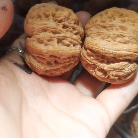 猴头核桃吊坠44元宝