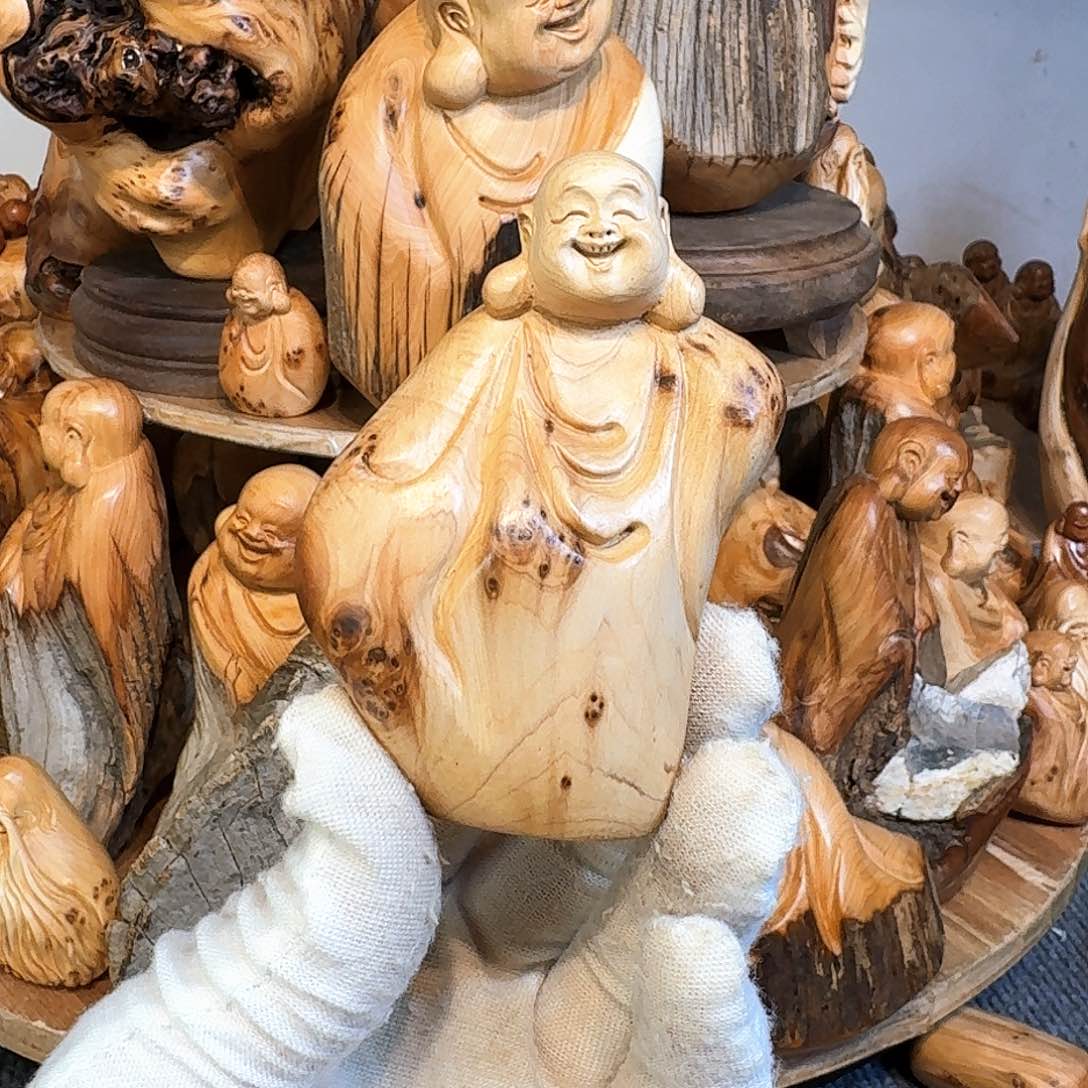 柏木（崖柏）66666666666666