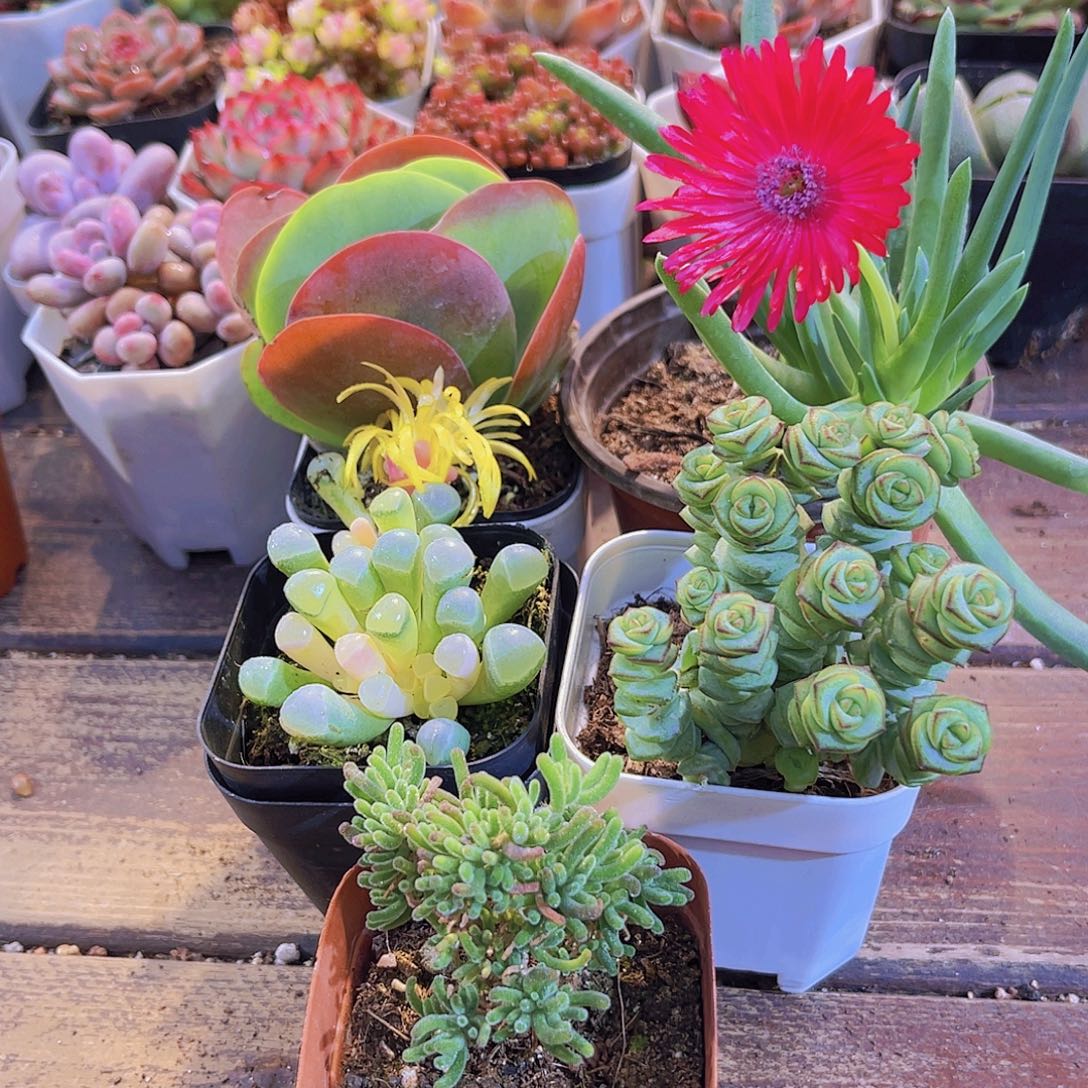 趣图5人福利套餐111111144