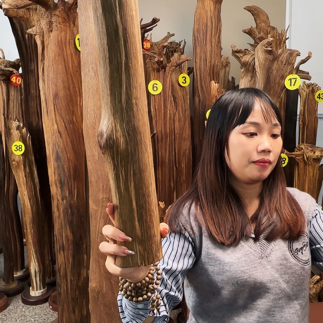 明***心沉香沉香碎屑天然沉香原材料香料熏料