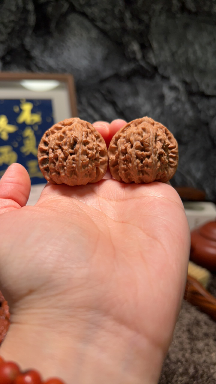 文玩核桃 延庆白狮子7575号37尺寸