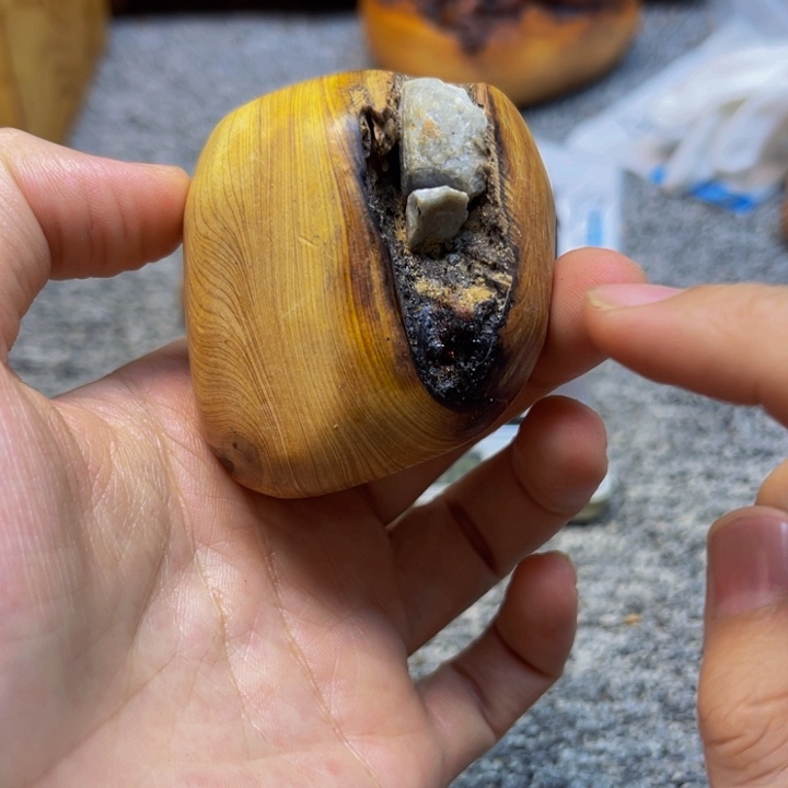 小***谢柏木（崖柏）崖柏192