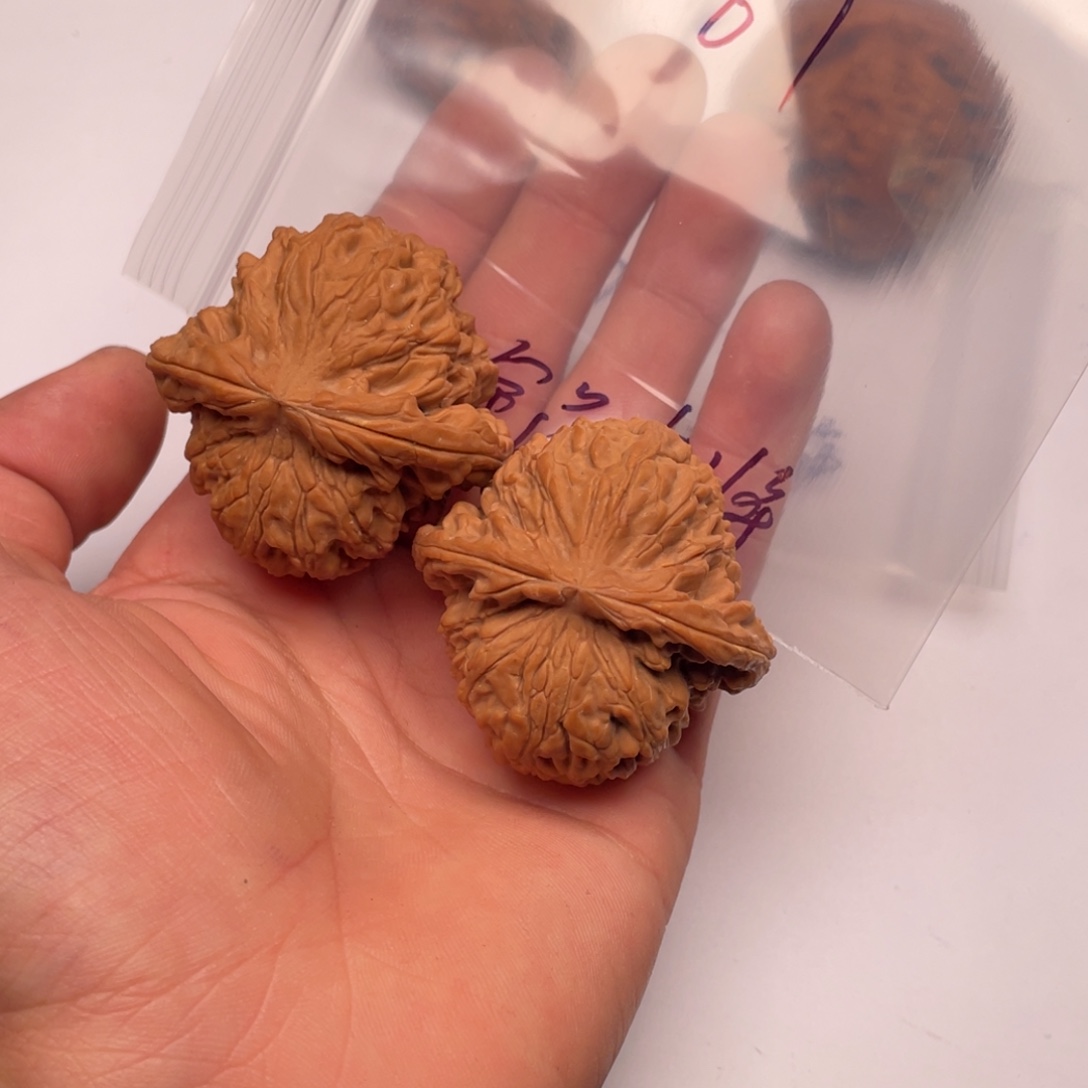 R***o手串/手链核桃067