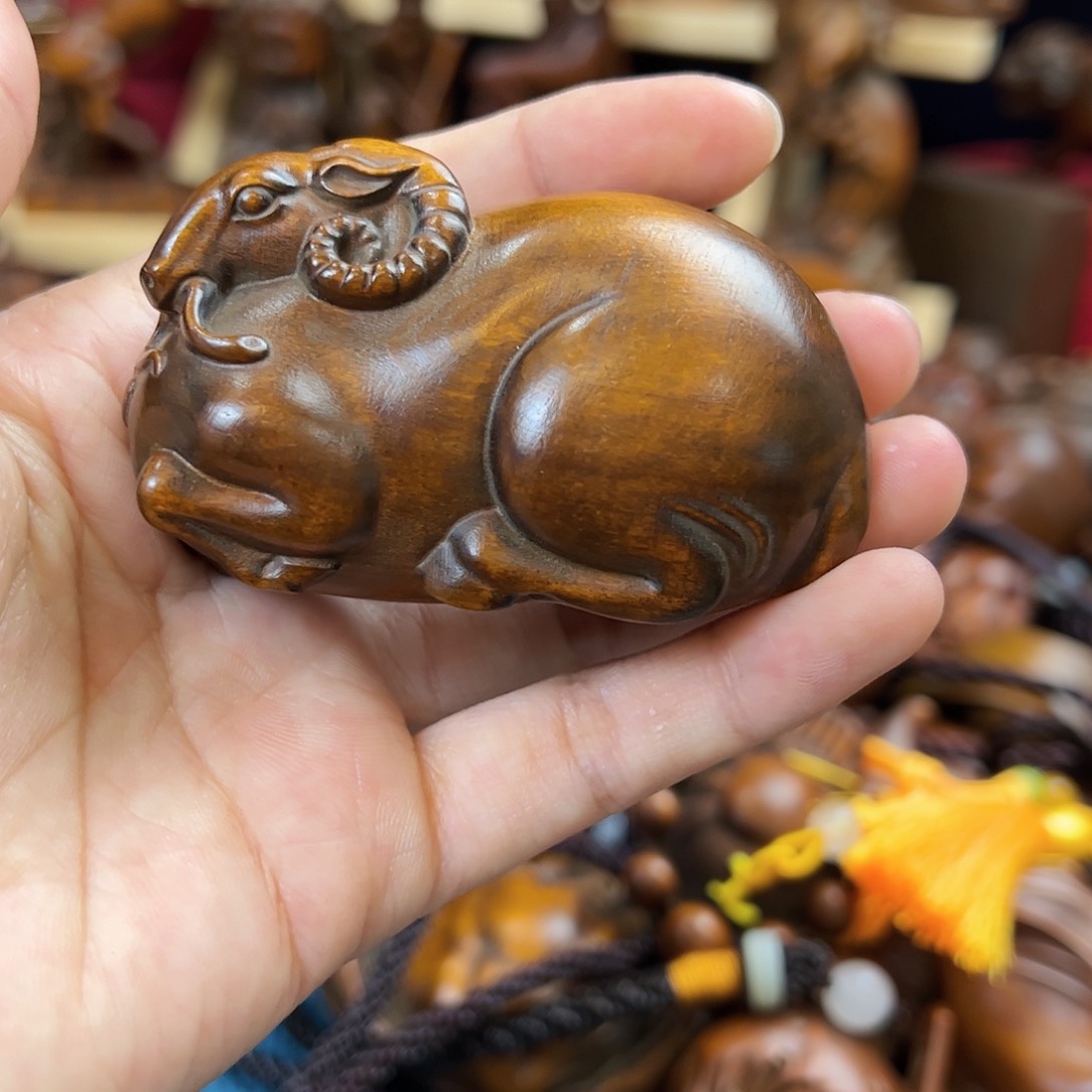 黄杨木小叶黄杨木