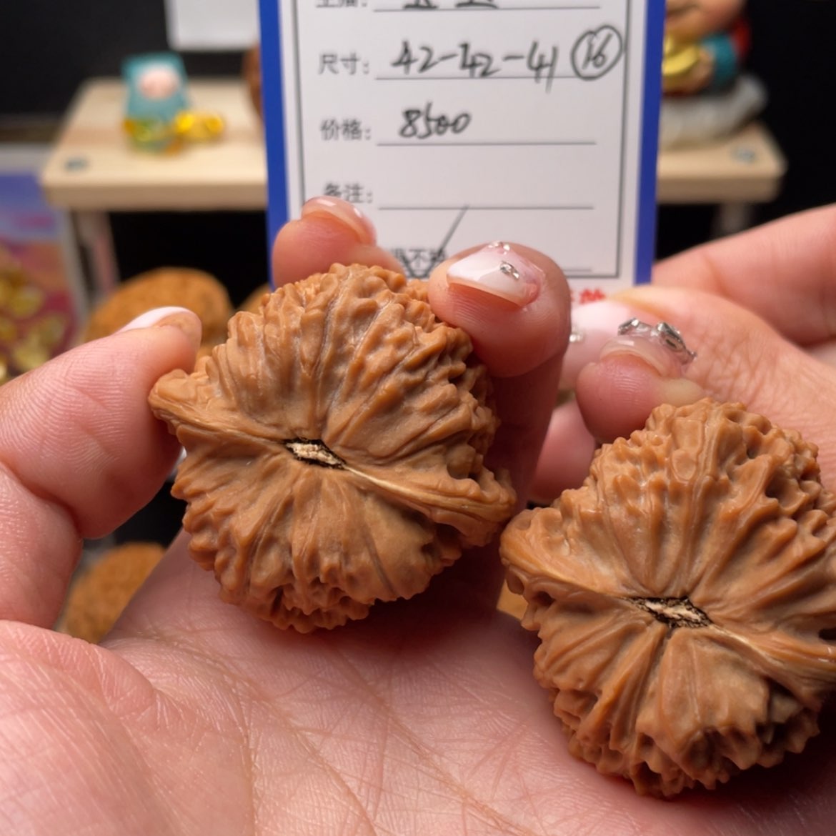 【闪购商品】核桃平**界