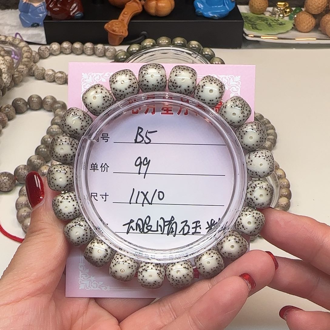 心月星月菩提一号B5