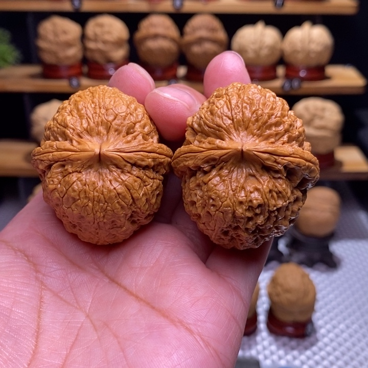 大***头木质类云铁铁狮子100号