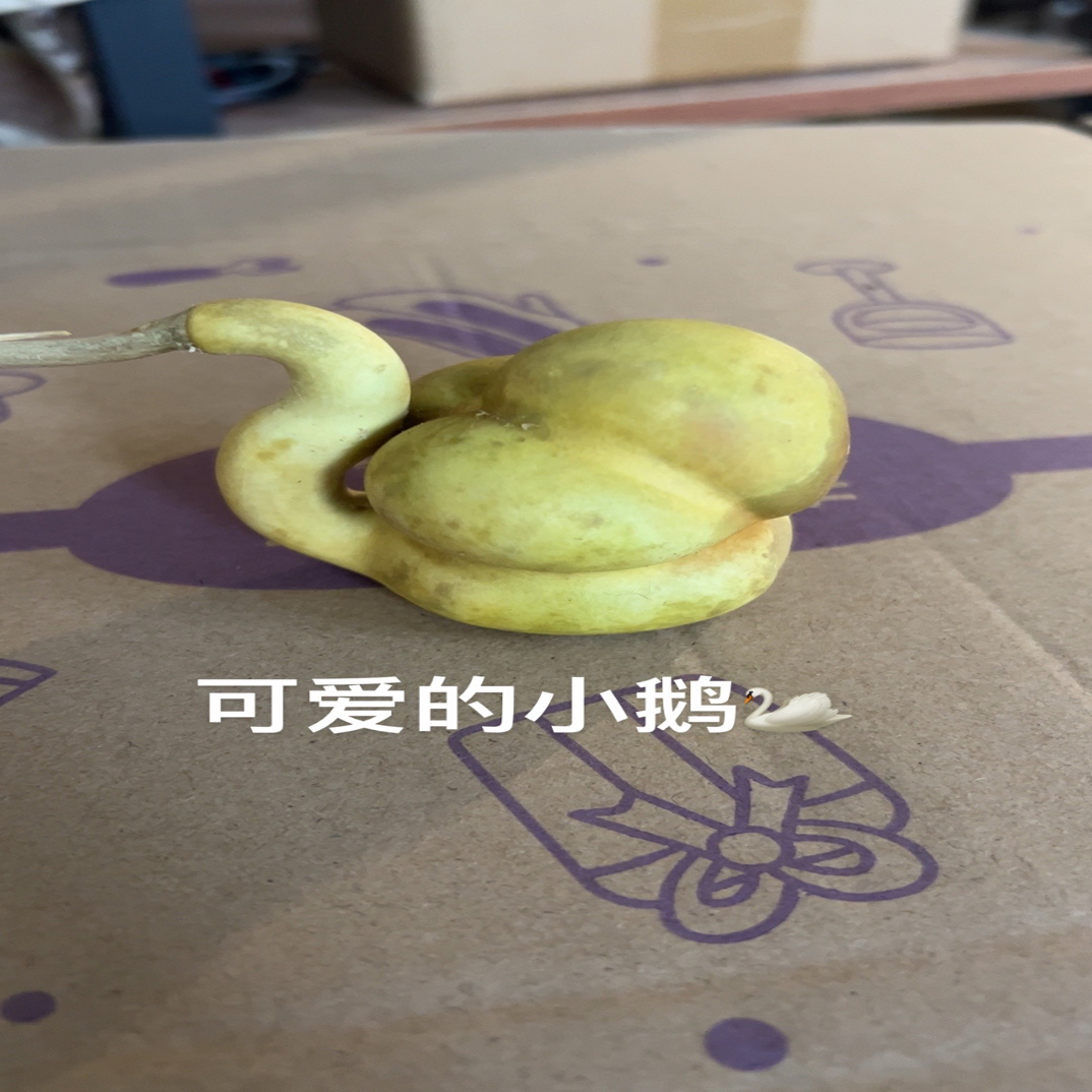 精品葫花皮老葫摆件、流水摆件、手把、手捻、直播间实物为准