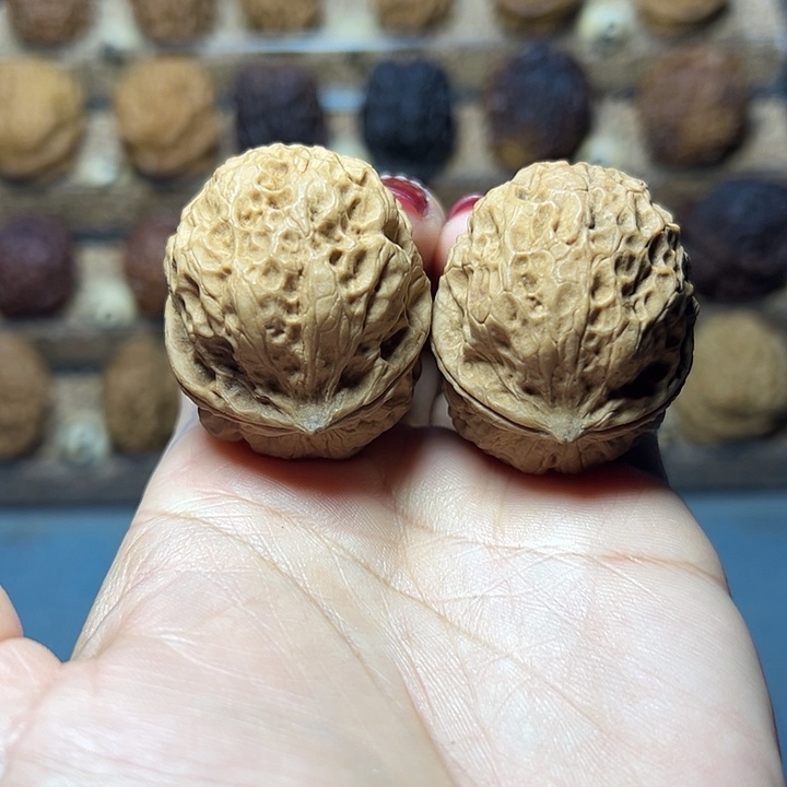 文玩核桃把件13号玄武41尺