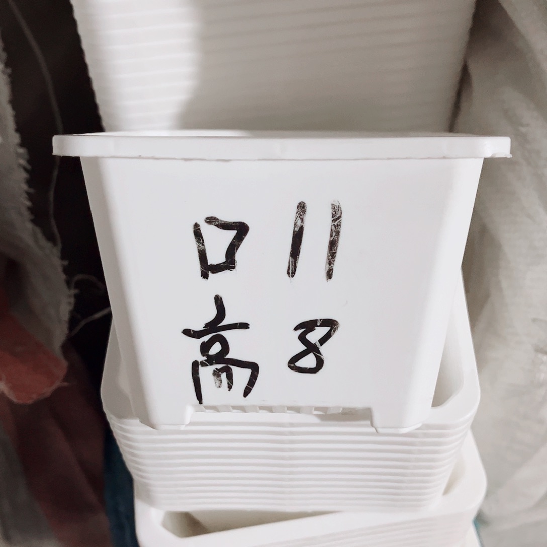 塑料福利款11方白色盆20个无托