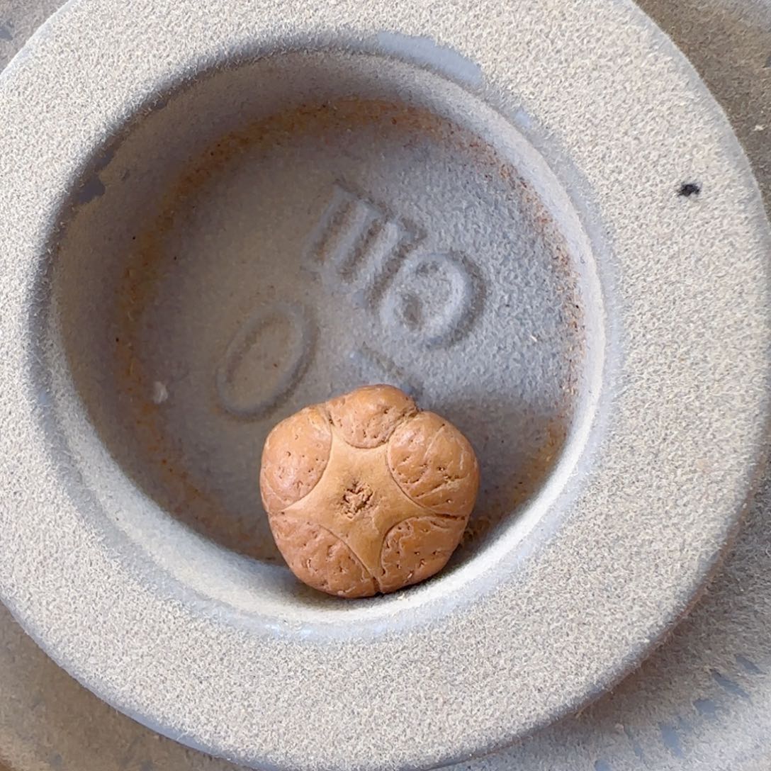 凤眼菩提吊坠17mm五星单颗放漏0@535