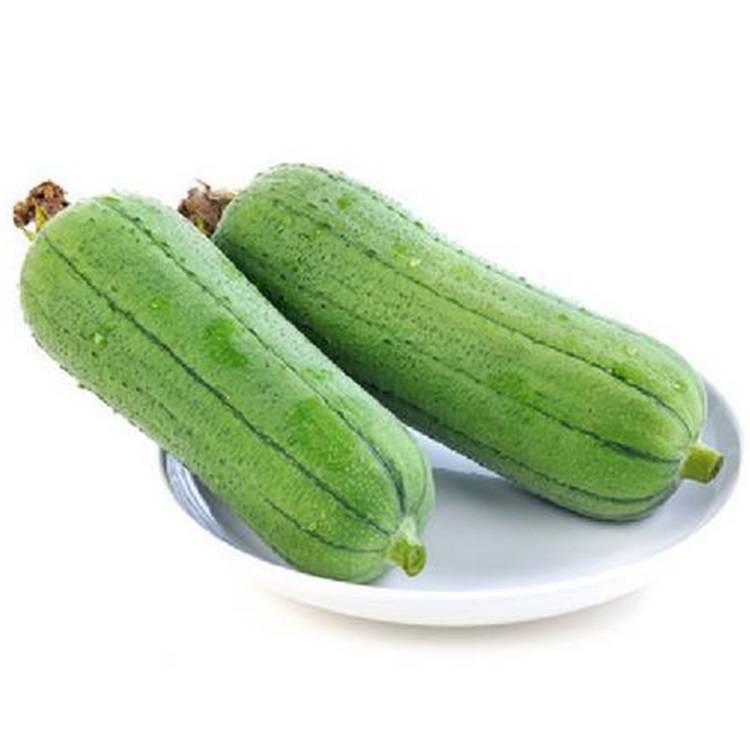 【爆】油皮丝瓜一根200-250g/份丝瓜同城配