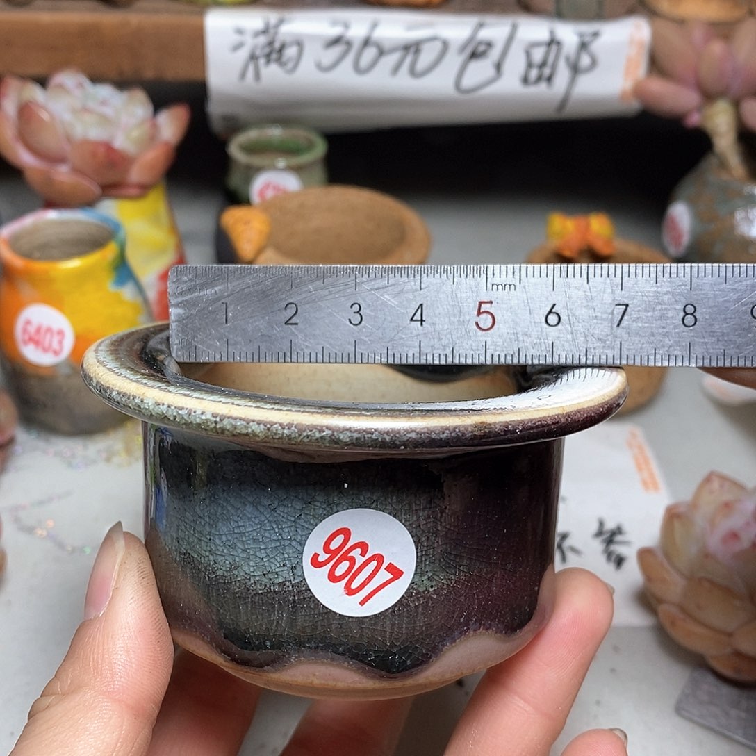红陶拍5送一个小