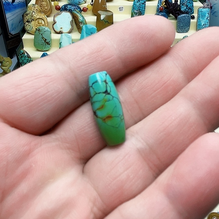 绿松石颈饰未镶嵌