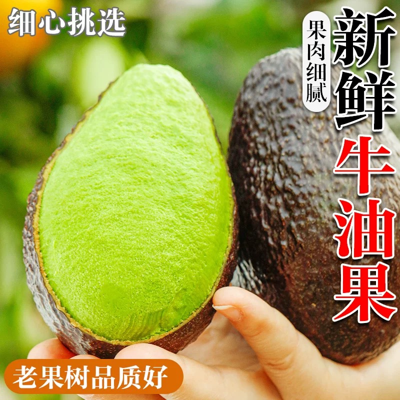 【云南国产品牛油果】坏果包赔无黑丝软糯绵密孕妈妈宝宝辅食NJM