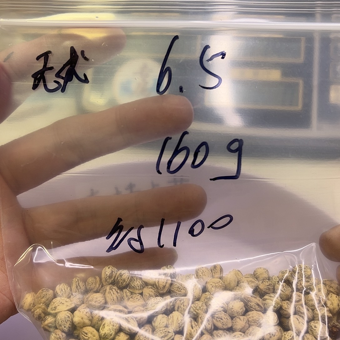 无***。吊坠柏香籽/百香籽