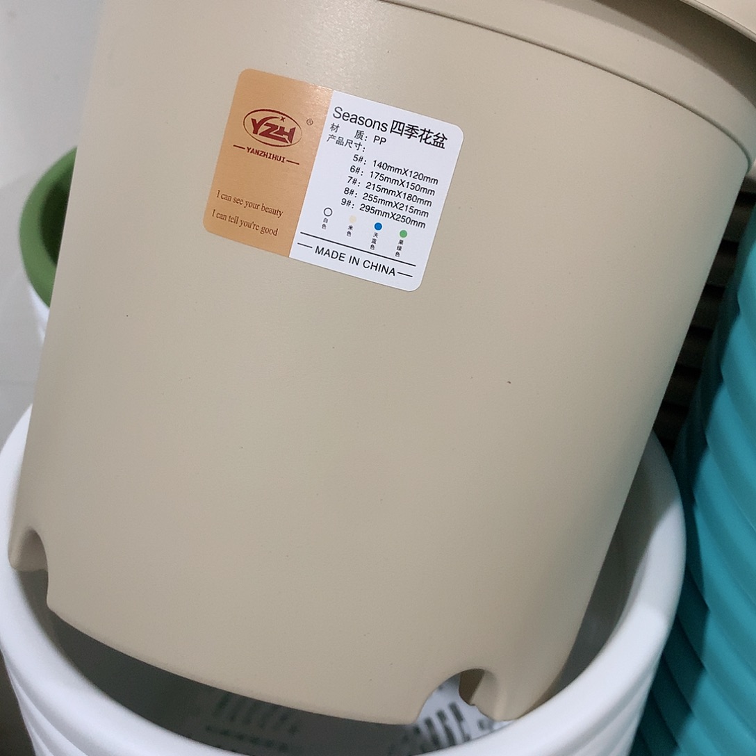 四季口25米黄5个无托